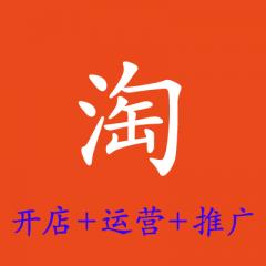 新手淘寶開店從入門到運(yùn)營(yíng)推廣視頻教程