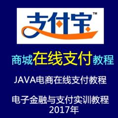 JAVA電商在線支付視頻教程（電子金融與支付實(shí)訓(xùn)教程 ）