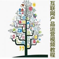 P1P2P3互聯(lián)網(wǎng)產(chǎn)品運(yùn)營視頻教程下載