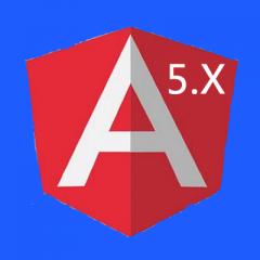 Angular5.x ant desigin入門(mén)實(shí)戰(zhàn)視頻教程（大地）