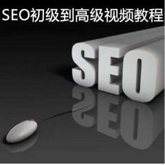 SEO初級(jí)到高級(jí)視頻教程下載