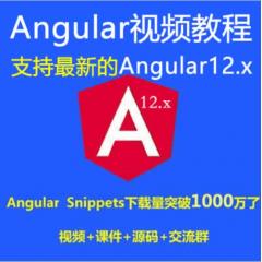 Angular教程_Angular+Antd入門(mén)實(shí)戰(zhàn)視頻教程-支持最新的Angular12.x（大地）